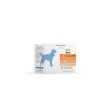 digea f medium 20 bustine 4g