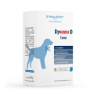 dynamo d large 20 bustine - mangime complementare per cani