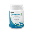 petmod intestinal sprint - mangime complementare per cani con disturbi digestivi 100 gr