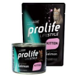 life style kitten salmon
