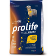 dualfresh adult medium large al bufalo agnello & riso - alimento completo per cani adulti taglia med