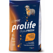 dualfresh adult medium large al tacchino maiale & riso - alimento completo per cani 12 kg