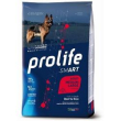 smart adult medium/large beef & rice
