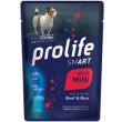 smart adult mini beef & rice umido