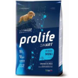 smart puppy mini chicken & rice