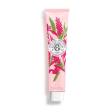 r&g gingembre rou cr mains30ml