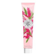 r&g gingembre rou cr mains30ml