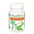 psyllium base polvere 200g