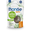 gift hairball con salmone ed erba gatta - cibo secco per gatti adulti 60 g