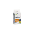 monoprotein vet diet renalcat maiale - alimento dietetico per gatti con calcoli e problemi renali 1,
