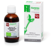 betulla pubescens amenti maceratoglicerico 50ml bi