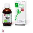 betulla pubescens amenti macerato glicerico 50 ml bio