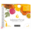 water first ananas-papaya-passion fruit 12 stick pack