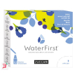 water first mirtillo-mela-fiori clitoria 12 stick pack