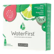 waterfirst kiwi berg guav12stk