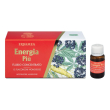 ebm energia più integratore tonico 12 fiale da 10 millilitri con estratto di the verde and vitamine