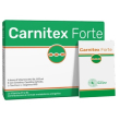 carnitex forte 14bust