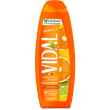 vidal bagnodoccia vit c 500ml