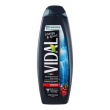 vidal bagnodoccia energy&sport