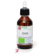 faggio macerato glicerico 100 ml bio
