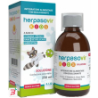 herpasovir kids soluzione rt 250 ml