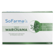 sf+ test marijuana autodiagn