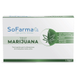 sf+ test marijuana autodiagn