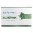 sf+ test marijuana autodiagn