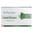 test autodiagnostico rapido marijuana sofarmapiu'