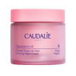 caudalie resveratrol-lift crema tisana della notte