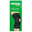 gibaud-ort.gin.ligagib*open5
