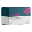 vulkan 20bust