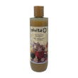 alvita gel doccia pan di zenzero 250 ml