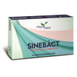 sinebact caps 15