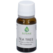 erbex® tea tree malaleuca alternifolia olio essenziale 10 ml soluzione