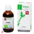 sorbo macerato glicerico 50 ml bio