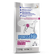 intestinal active pesce - alimento completo per cani adulti con disturbi intestinali 1,5 kg