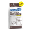 forza10 cane fase 1 intestinal colon agnello sorgo bianco 1,5kg
