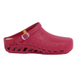 clog evo tpr unisex wine 42/43