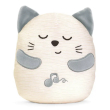 gioco fd purring cat, chicco, peluche interattivo per neonati, gattino che fa le fusa, vibrazioni e