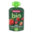 plasmon bio pouches mela fragola lampone 100 grammi