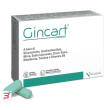 gincart 30 compresse rivestite da 1,25 g senza glutine naturalmente privo di lattosio