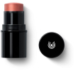 dr hauschka lip to cheek 01 apricot blush in stick per labbra e guance 6,1 g