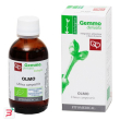 olmo macerato glicerico 50 ml bio