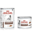 diet intestinal gastro dog um 200gr minsan 934857614