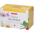 naturplus tisana vie urinarie 30 g tè