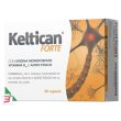 keltican forte 20 capsule