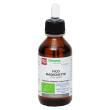 fico radichette gd 100ml bio