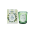 candela 180g lime/foglie/menta