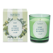 candela 180g lime/foglie/menta